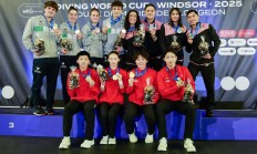 九游娱乐app-意大利跳水双人组合取得优异成绩的简单介绍