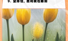 九游娱乐视频-紧要关头！球队士气高昂准备向胜利冲刺的简单介绍