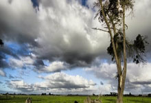 曼城横扫对手，欧冠强在望