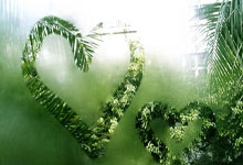 山东鲁能势不可挡，追逐胜利的鼓号声