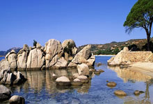 山东鲁能势不可挡，追逐胜利的鼓号声