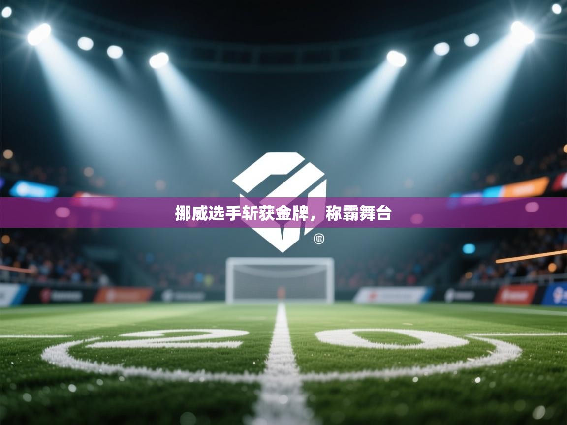 挪威选手斩获金牌,称霸舞台 第2张