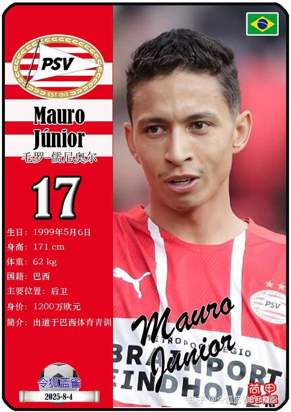 荷兰球队签下一名年轻有潜力的球员的简单介绍